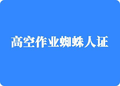 大黑屌激情高空作业蜘蛛人证